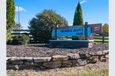 6749 Leigh Street, Flowery Branch, GA 30542 - Photo 54