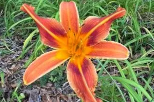 3665 Clubhouse Ln, Conyers, GA 30094 - Photo 40