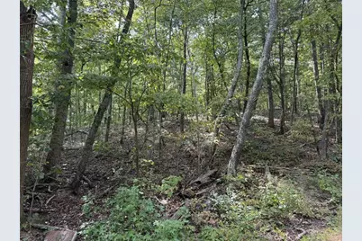 0 Cagle Road NE, Fairmount, GA 30139 - Photo 12