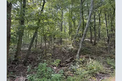 0 Cagle Road NE, Fairmount, GA 30139 - Photo 10