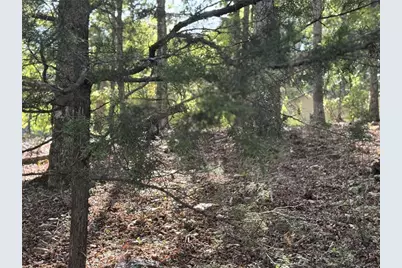 0 Cagle Road NE, Fairmount, GA 30139 - Photo 2