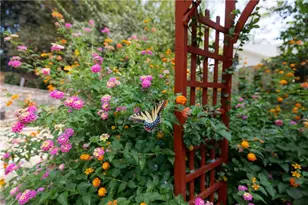 2813 W Roxboro Rd NE, Atlanta, GA 30324 - Photo 104