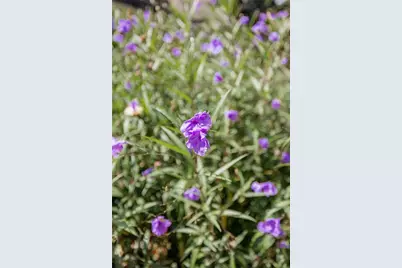 2813 W Roxboro Road NE, Atlanta, GA 30324 - Photo 106