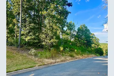 98 Magnolia Ridge, Summerville, GA 30747 - Photo 6