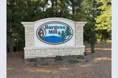 310 Burgess Mill Trail, Suwanee, GA 30024 - Photo 1