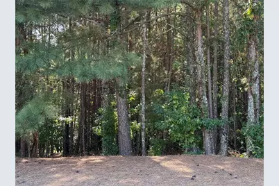 310 Burgess Mill Trail, Suwanee, GA 30024 - Photo 2