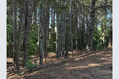 310 Burgess Mill Trail, Suwanee, GA 30024 - Photo 4