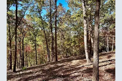 1405 Foxhound Trail NE, Ranger, GA 30734 - Photo 4