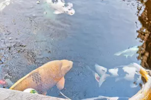 1060 Birmingham Rd, Milton, GA 30004 - Photo 38