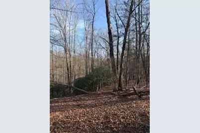 166 N Laceola Road, Cleveland, GA 30528 - Photo 12