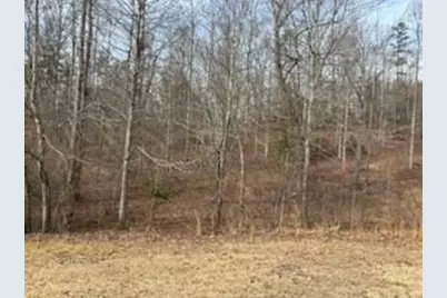 166 N Laceola Road, Cleveland, GA 30528 - Photo 8