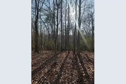 166 N Laceola Road, Cleveland, GA 30528 - Photo 14