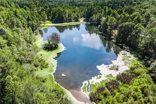 328 Morton Dr, Ellijay, GA 30540 - Photo 36