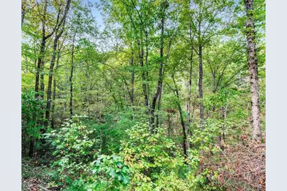 328 Morton Drive, Ellijay, GA 30540 - Photo 22