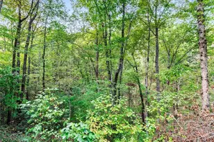 328 Morton Dr, Ellijay, GA 30540 - Photo 22