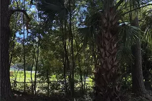 409 Davis Ave, Tifton, GA 31794 - Photo 8