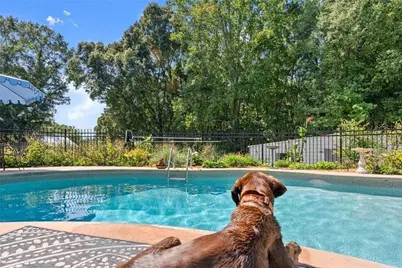 195 Sims Farm Way, Maysville, GA 30558 - Photo 42