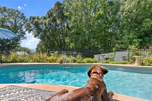 195 Sims Farm Wy, Maysville, GA 30558 - Photo 42