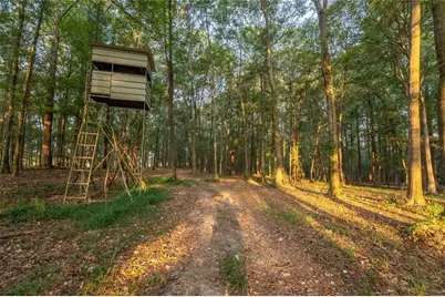 195 Sims Farm Way, Maysville, GA 30558 - Photo 52