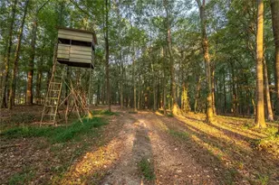 195 Sims Farm Wy, Maysville, GA 30558 - Photo 52