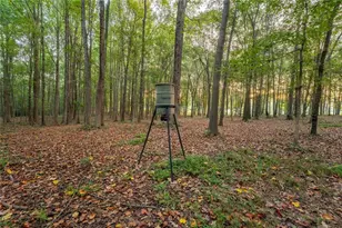 195 Sims Farm Wy, Maysville, GA 30558 - Photo 54