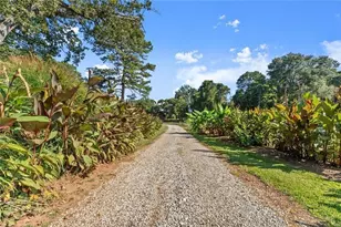 195 Sims Farm Wy, Maysville, GA 30558 - Photo 20