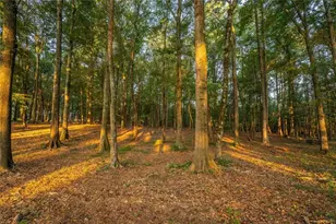 195 Sims Farm Wy, Maysville, GA 30558 - Photo 62