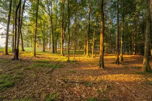 195 Sims Farm Wy, Maysville, GA 30558 - Photo 54