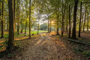 195 Sims Farm Wy, Maysville, GA 30558 - Photo 60