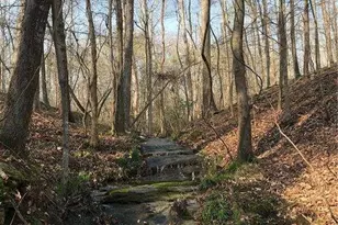 55 Sweetwater Way, Lula, GA 30554 - Photo 6