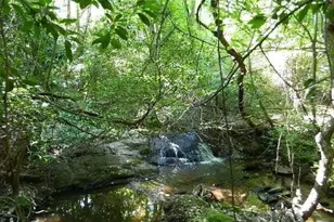 220 Tuscarora Trail, Hartwell, GA 30643 - Photo 32