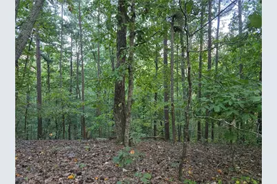 0 Old Goodie Mtn Road SE, Cartersville, GA 30120 - Photo 1