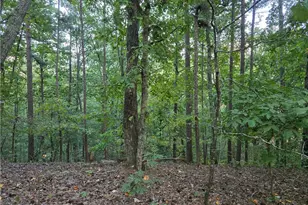 0 Old Goodie Mtn Road SE, Cartersville, GA 30120 - Photo 1