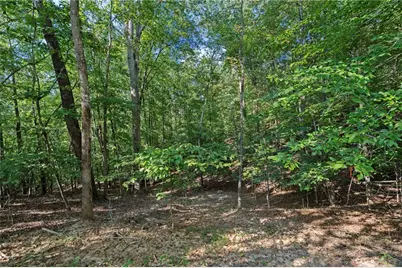 6314 Point Twenty Two, Gainesville, GA 30506 - Photo 14