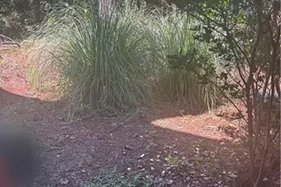 9 Willowick Dr, Lithonia, GA 30038 - Photo 26