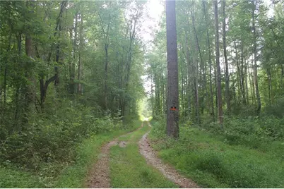 4785 Highway 166, Douglasville, GA 30135 - Photo 6