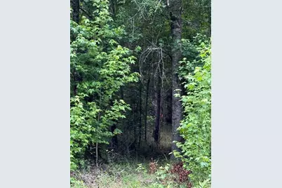 0 Culpepper Road, Calhoun, GA 30701 - Photo 8