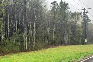 337 Mac Johnson Rd NW, Cartersville, GA 30121 - Photo 2