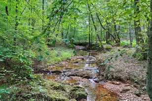 857 Jack Page Dr, Canton, GA 30115 - Photo 4