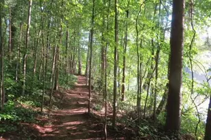 1359 Ragley Hall Rd NE, Brookhaven, GA 30319 - Photo 16