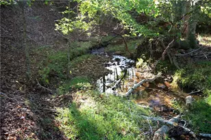 2229 Long Rd, Ball Ground, GA 30107 - Photo 80