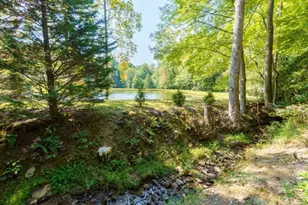 35 Wunder Bear Ridge Rd, Morganton, GA 30560 - Photo 50