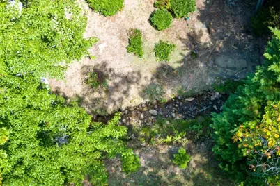 35 Wunder Bear Ridge Road, Morganton, GA 30560 - Photo 62