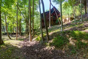 35 Wunder Bear Ridge Rd, Morganton, GA 30560 - Photo 54