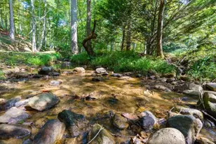 35 Wunder Bear Ridge Rd, Morganton, GA 30560 - Photo 52