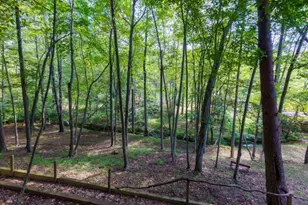 35 Wunder Bear Ridge Rd, Morganton, GA 30560 - Photo 76