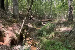 9700 S Helton Rd, Winston, GA 30187 - Photo 64