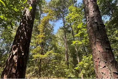 9700 S Helton Road, Winston, GA 30187 - Photo 58