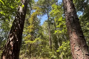 9700 S Helton Rd, Winston, GA 30187 - Photo 58