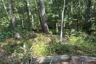 9700 S Helton Rd, Winston, GA 30187 - Photo 56